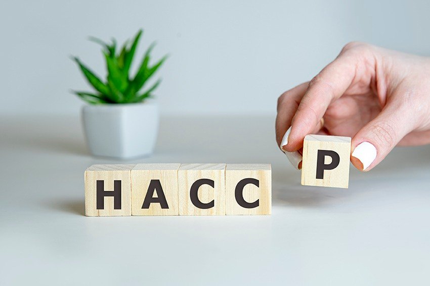 The Second Level at HACCP System