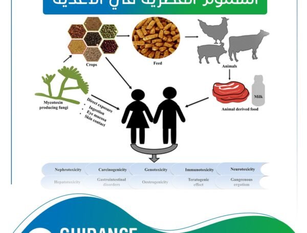 السموم الفطرية في الاغذية