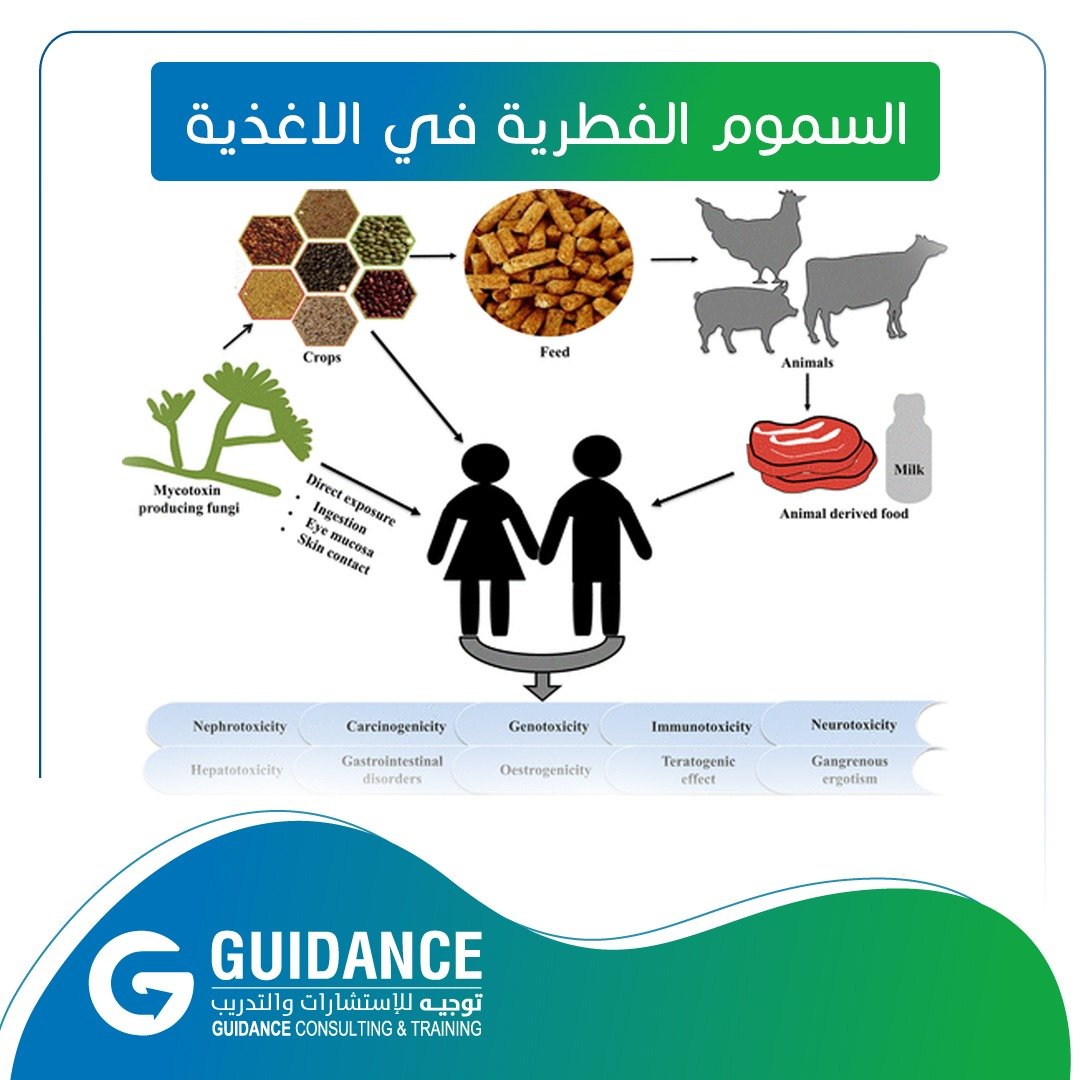 السموم الفطرية في الاغذية