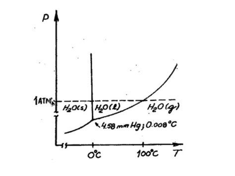 Understanding the Basics of